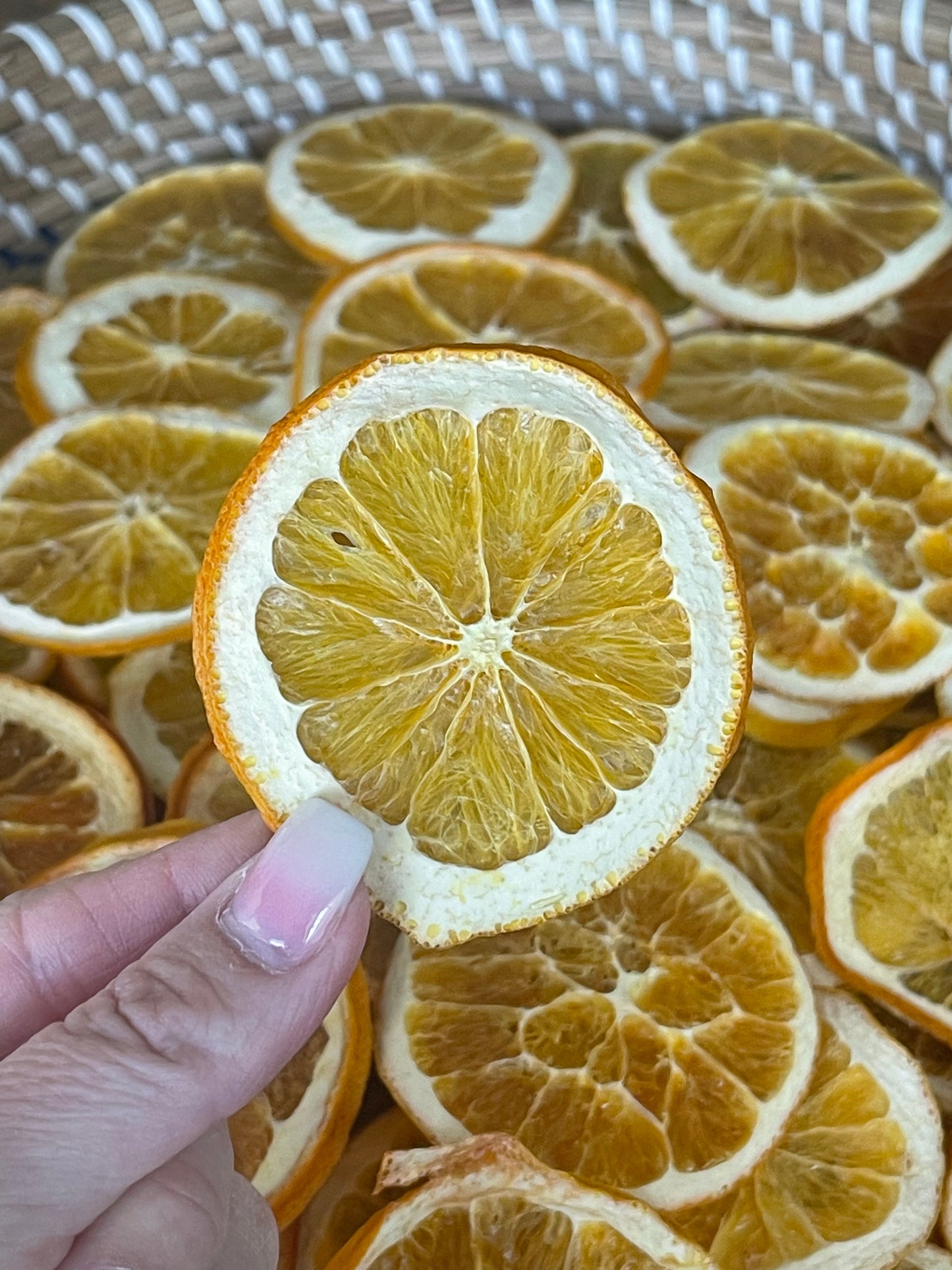 Dried Premium Orange Slices